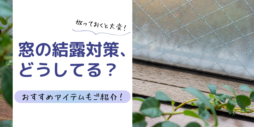 窓の結露対策、どうしてる？おすすめアイテムもご紹介！