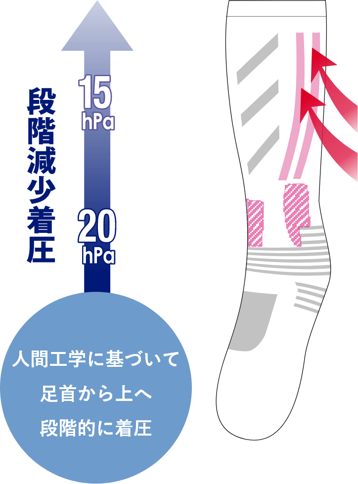 人間工学に基づいて足首から上へ段階的に着圧