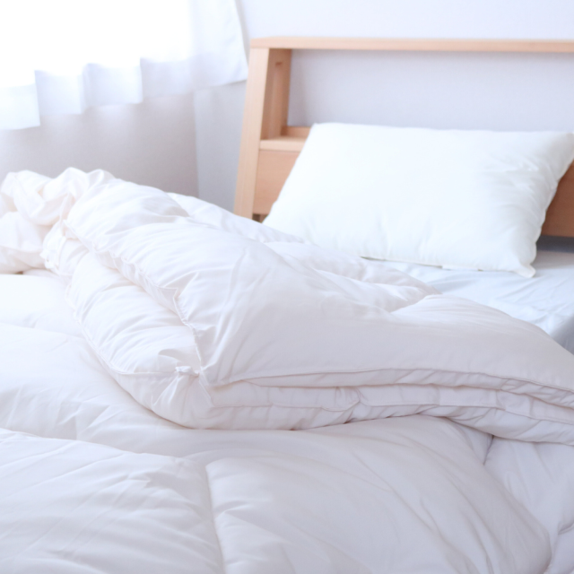 ミクロガード(R)スタンダード×エアーフレイク(R)掛布団 （2枚合わせ）