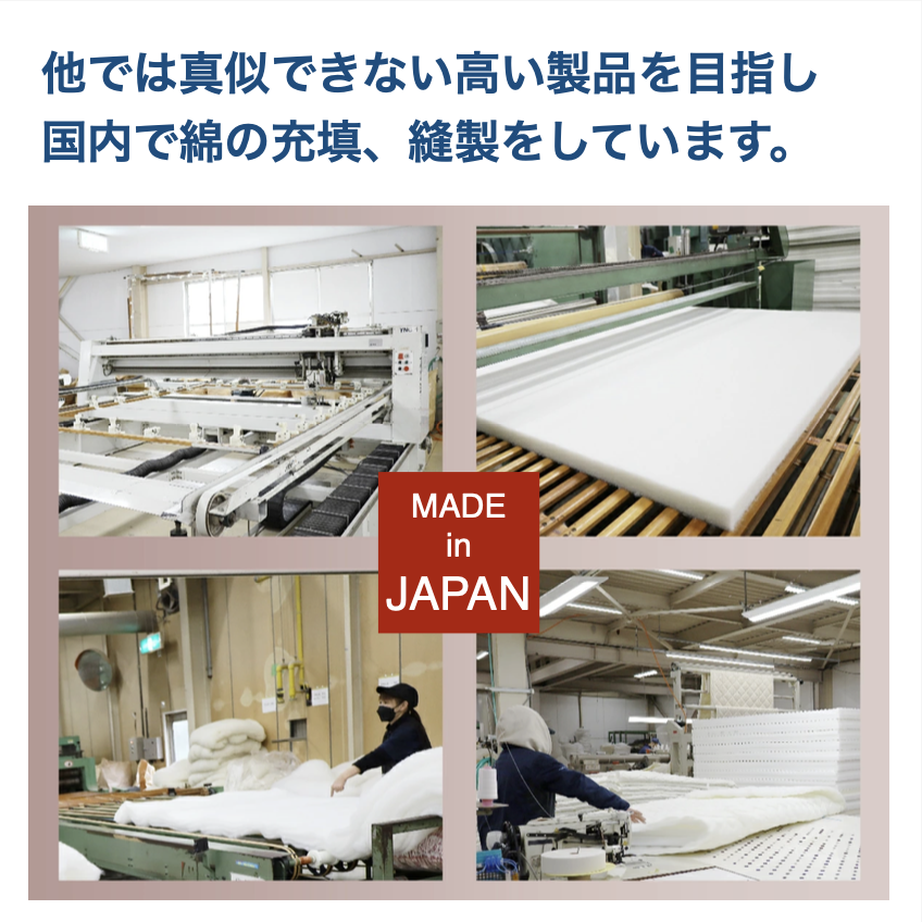 shiki